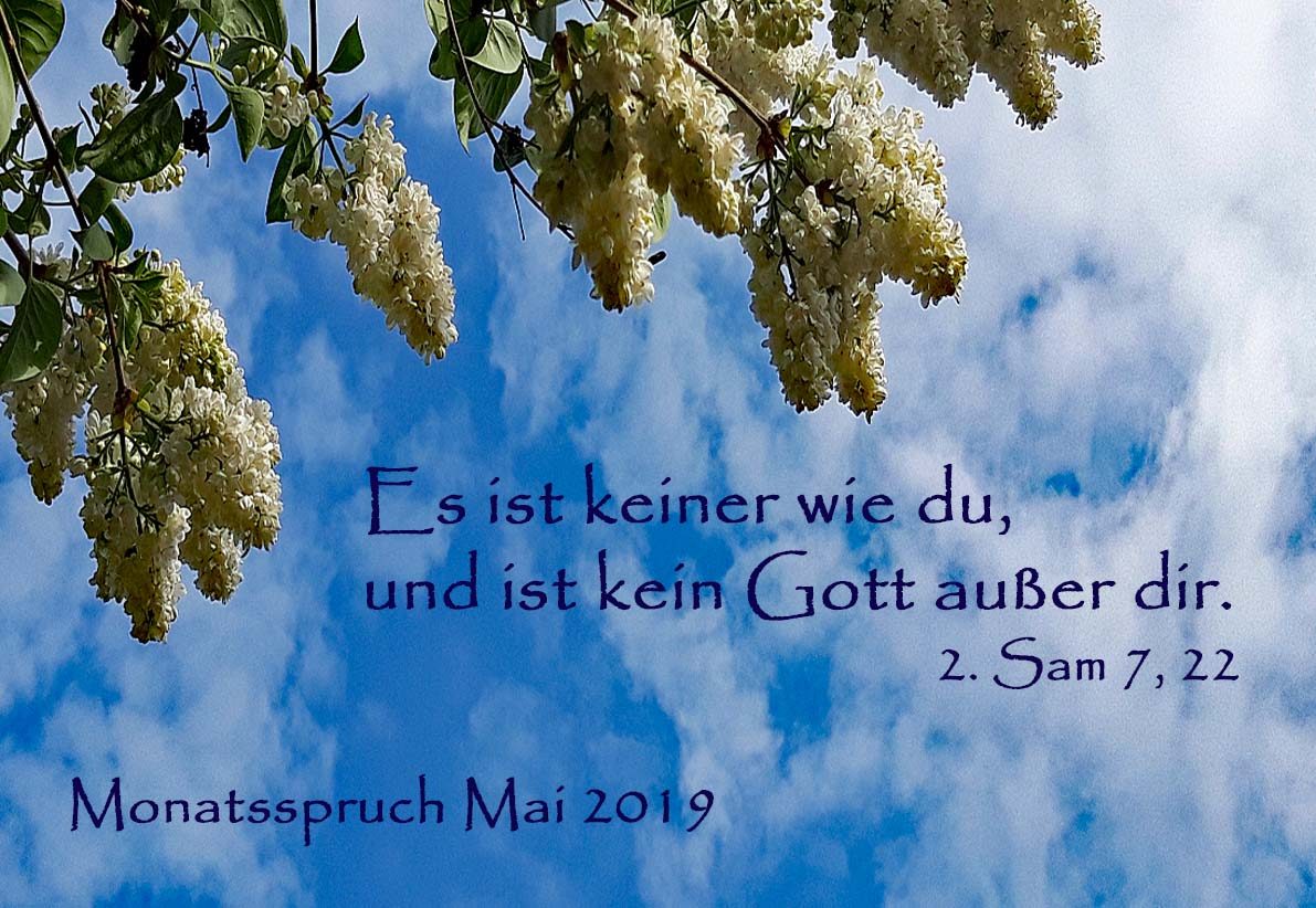 Monatsspruch Mai 2019